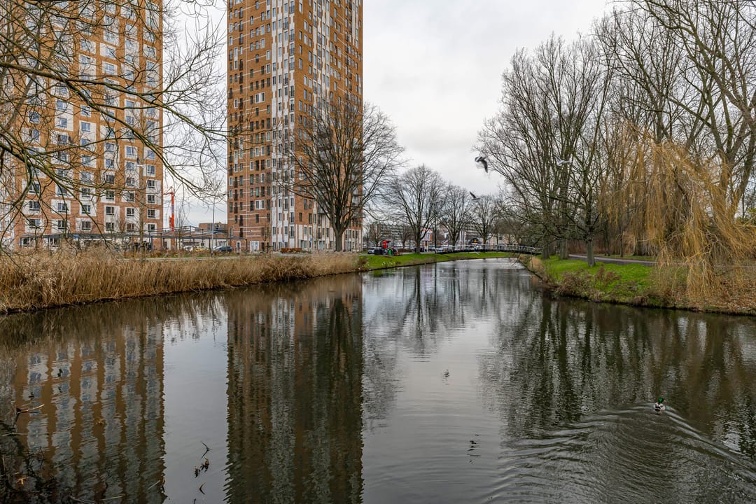 Foto 31 van Dierenriemstraat 207