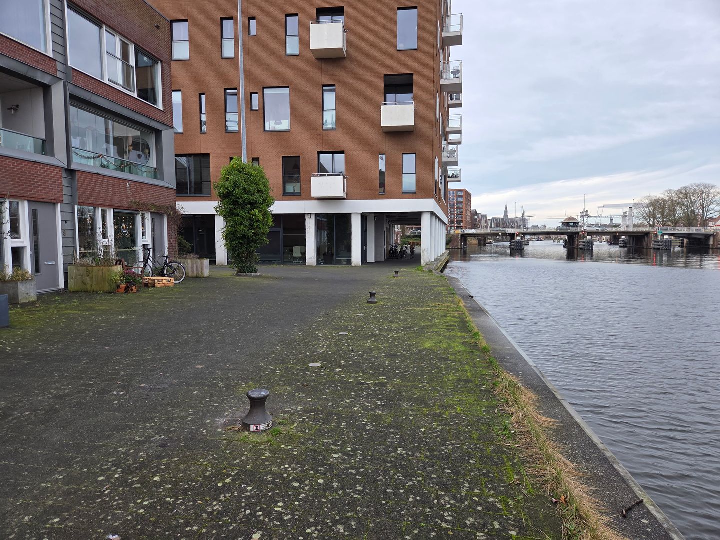 View photo 4 of Fanny Blankers-Koenplein 50