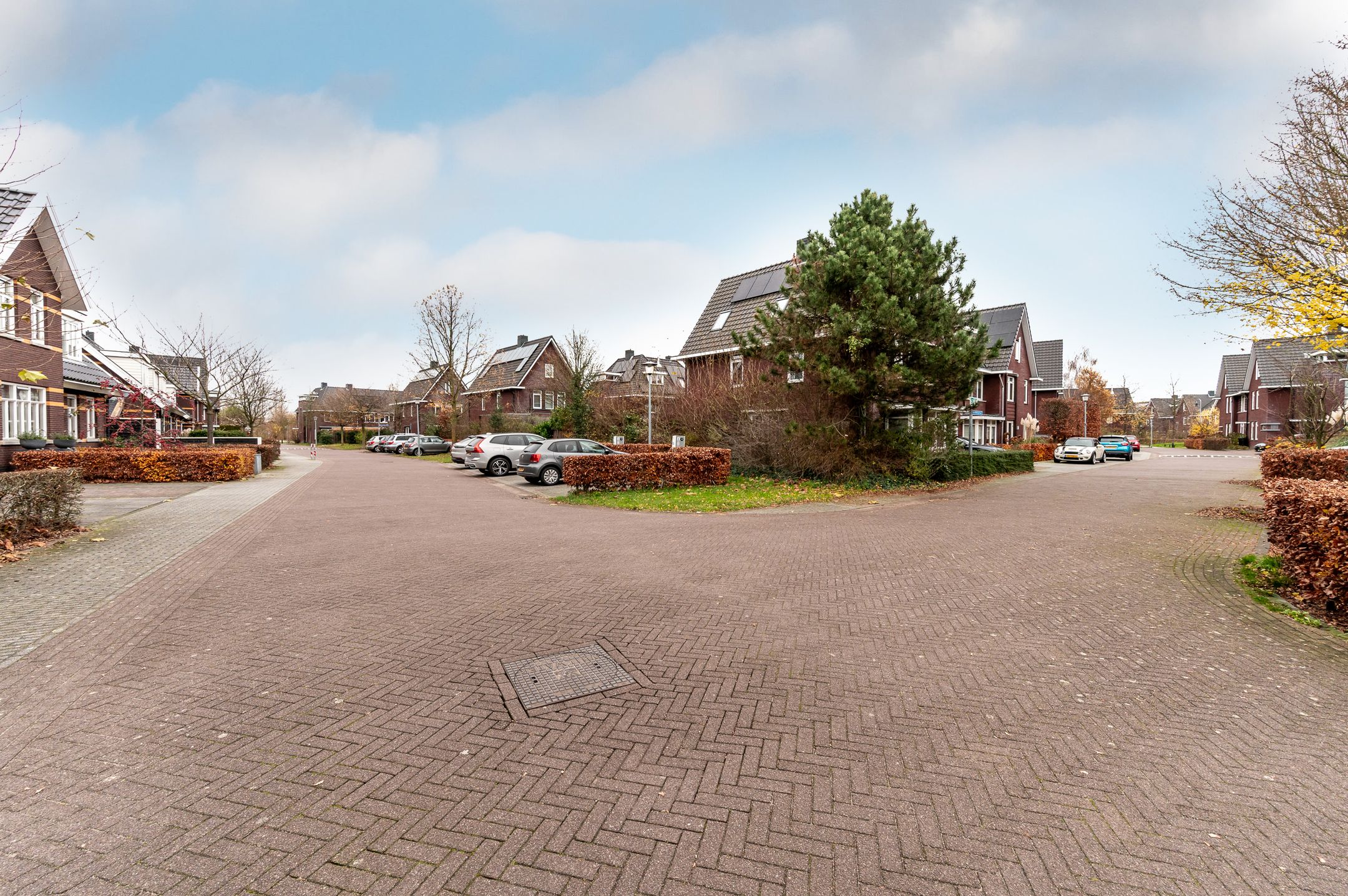 Foto 42 van Tafelbergerhout 16