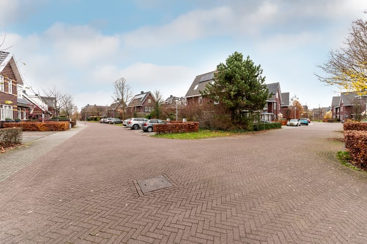 Foto 42 van Tafelbergerhout 16