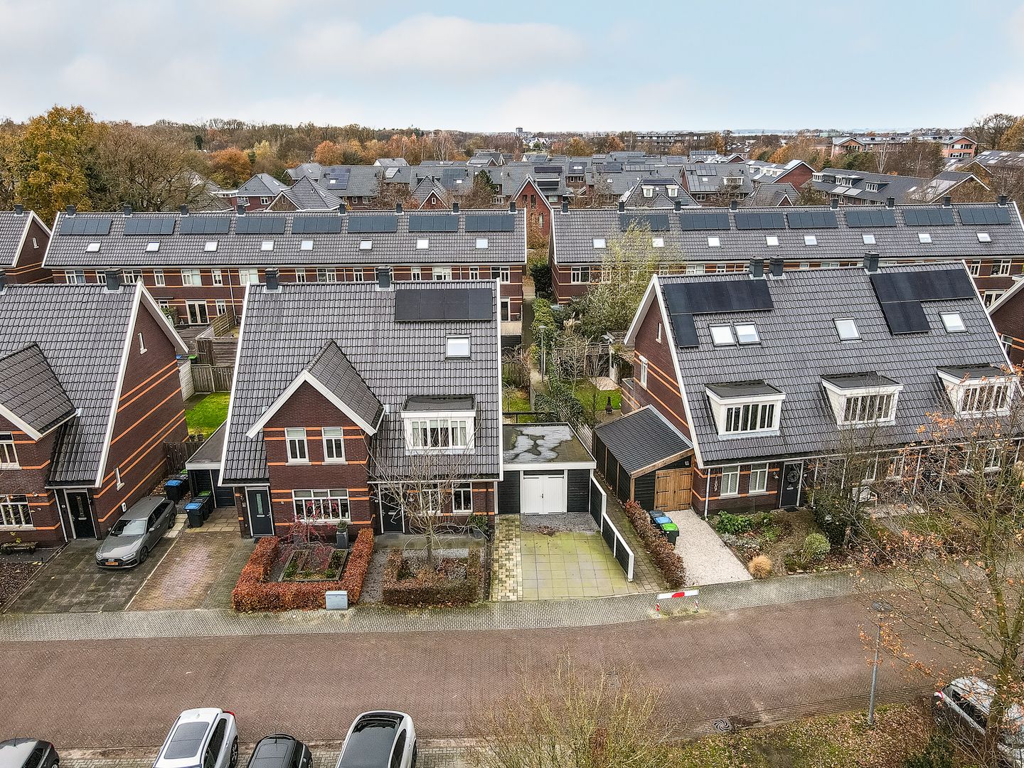 Foto 44 van Tafelbergerhout 16