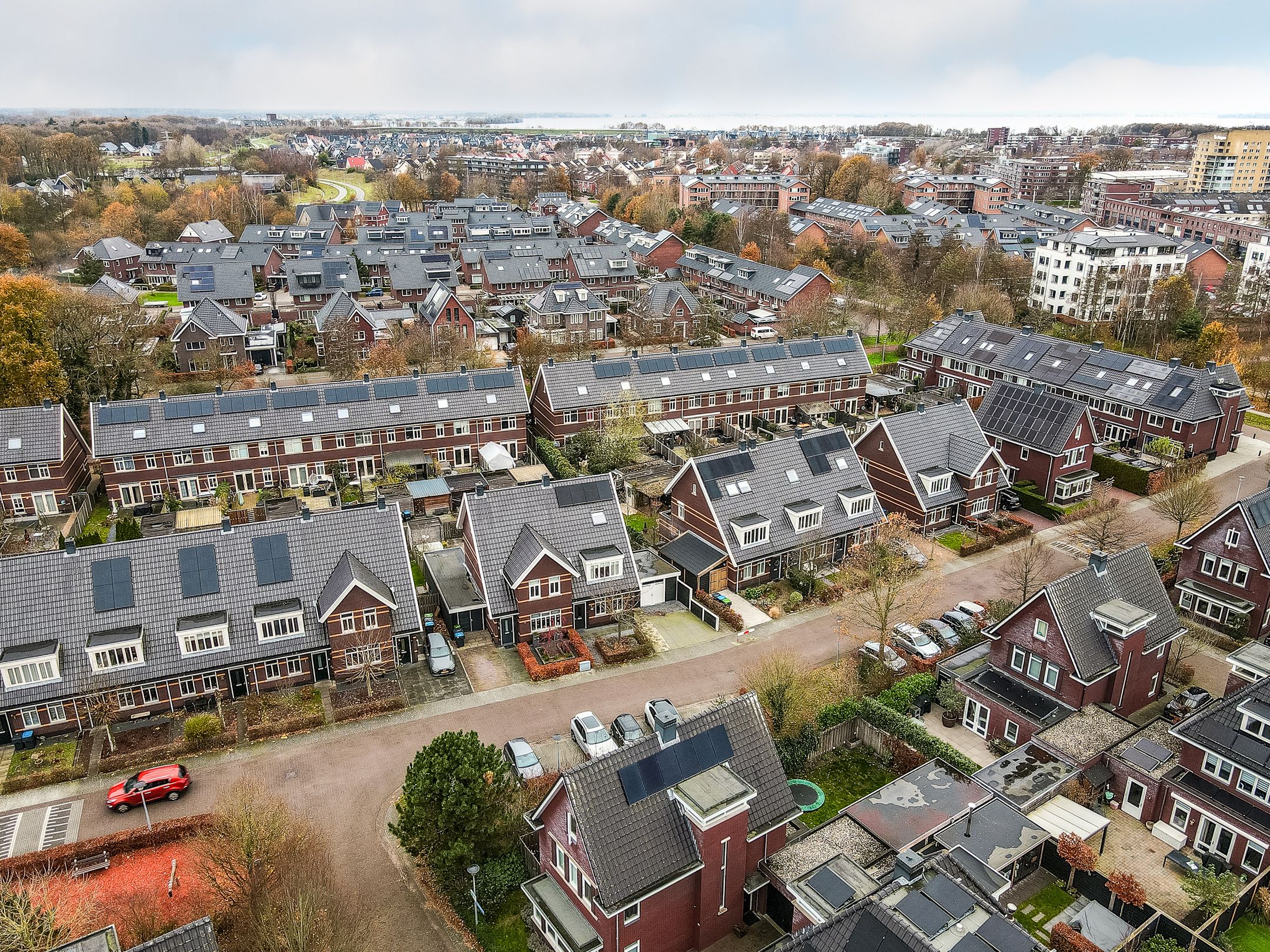 Foto 48 van Tafelbergerhout 16