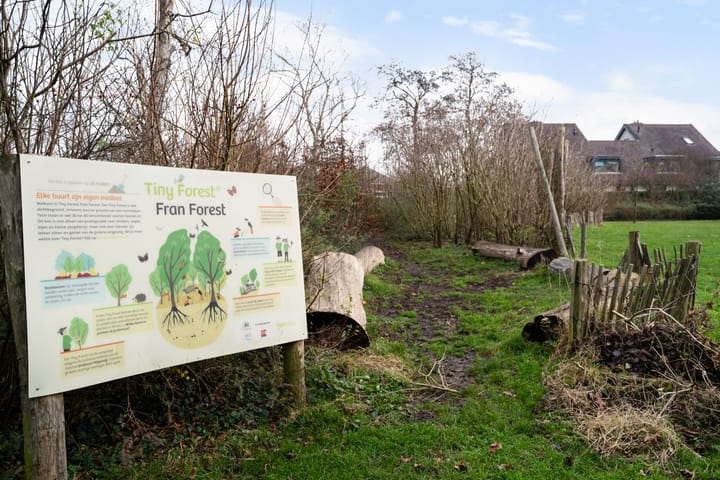 Foto 34 van Weidebloemenlaan 151