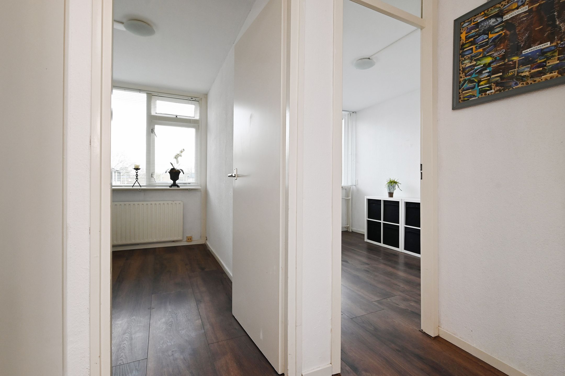 Photo 27 of Braamberg 8