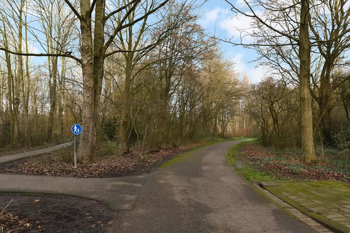 Foto 46 van Braamberg 8