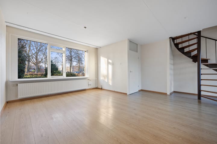 Foto 9 van Robert Stolzsingel 1