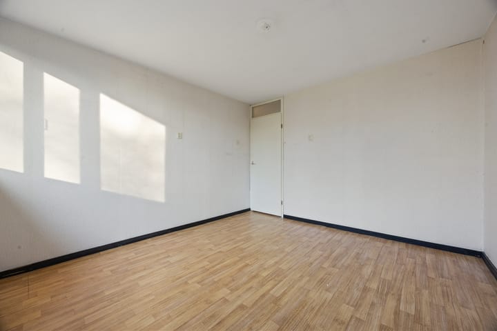 Foto 19 van Robert Stolzsingel 1