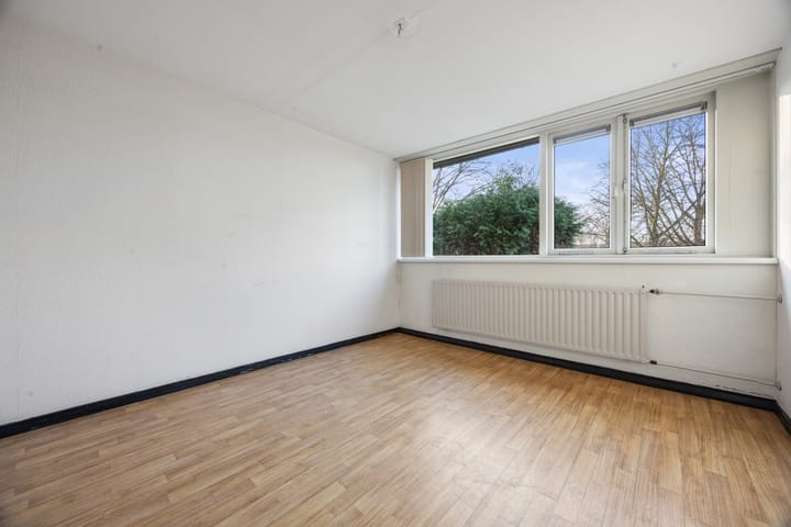 Foto 18 van Robert Stolzsingel 1