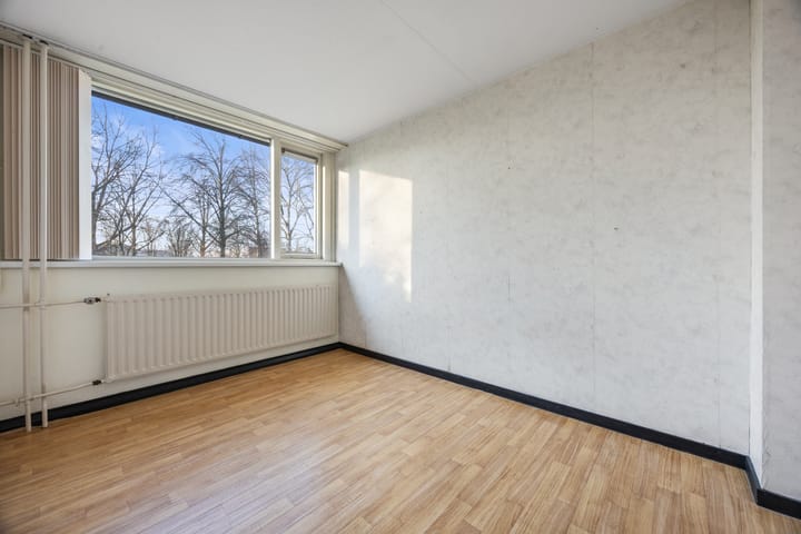 Foto 20 van Robert Stolzsingel 1