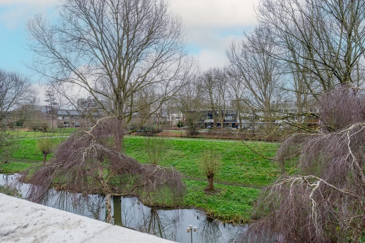 Foto 2 van Doornenburg 124