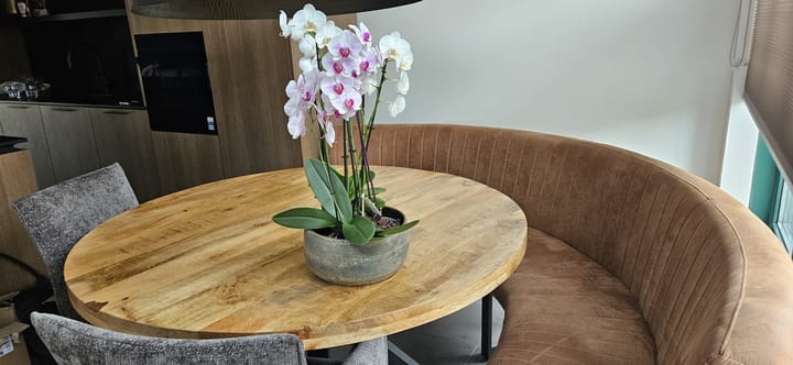 Foto 27 van Barend Cohenstraat 17