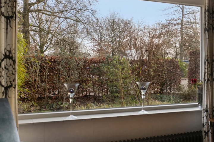 Foto 14 van Reviusstraat 1