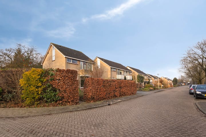 Foto 1 van Reviusstraat 1