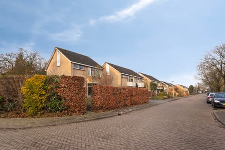 Reviusstraat thumbnail