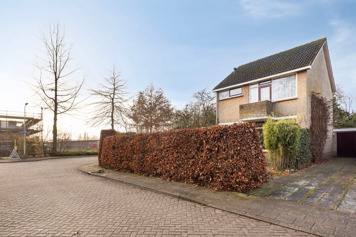 Foto 45 van Reviusstraat 1