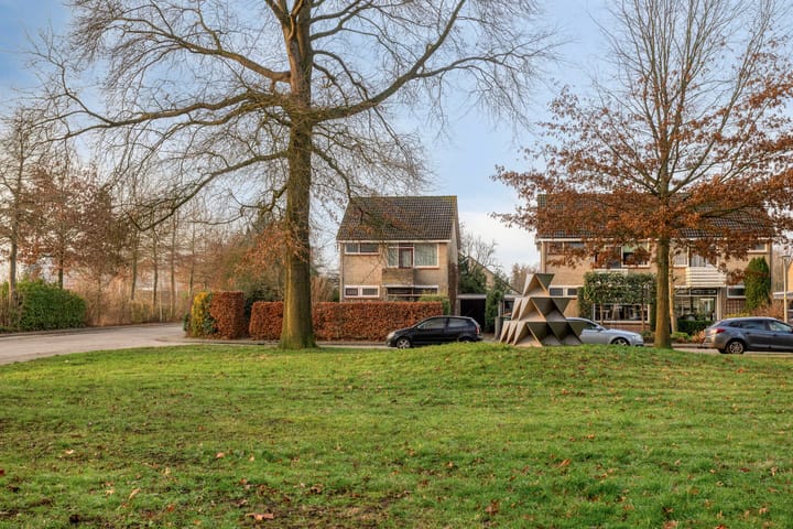 Foto 46 van Reviusstraat 1