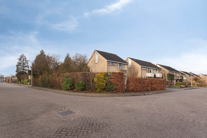 Foto 47 van Reviusstraat 1