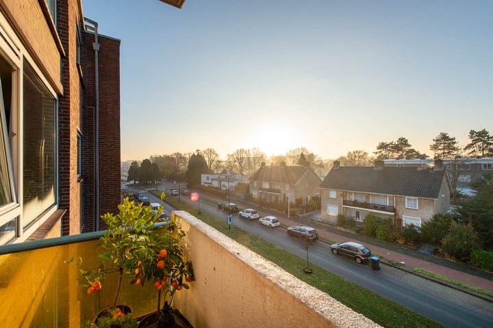 Foto 2 van Rooseveltlaan 205