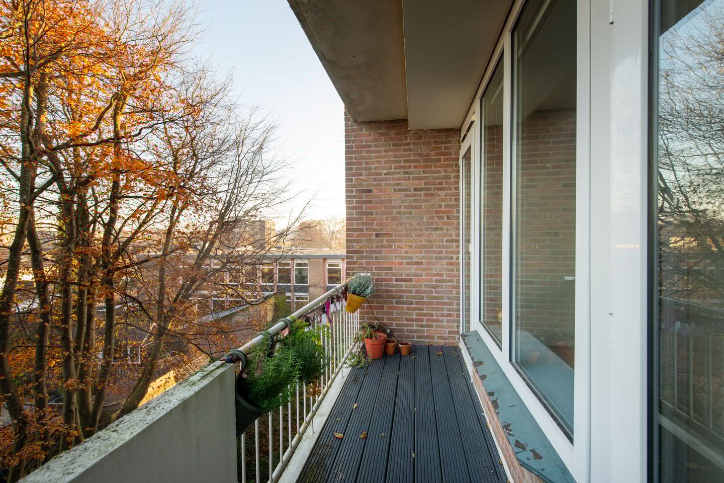 Photo 19 of Rooseveltlaan 205