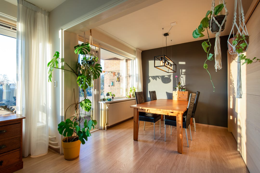 Photo 8 of Rooseveltlaan 205