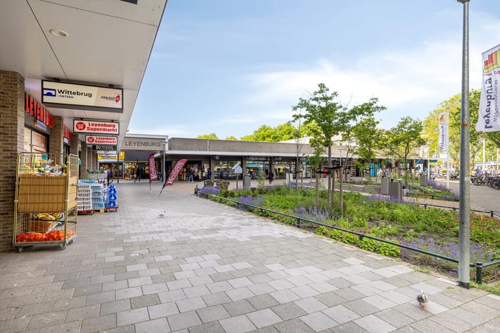 Foto 36 van Driebergenstraat 19