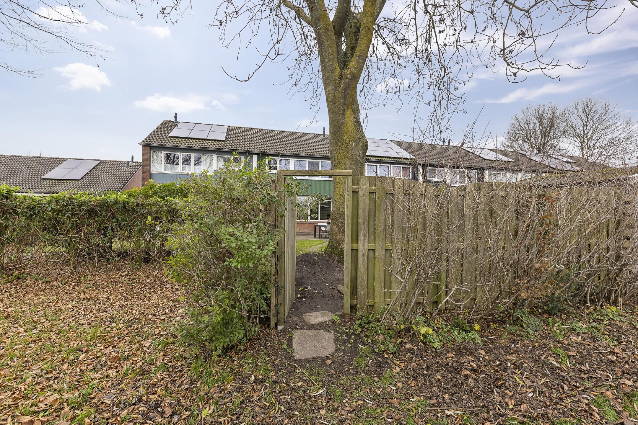 Foto 36 van Orchideestraat 113