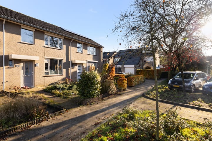 Foto 4 van Tabaksland 66-B