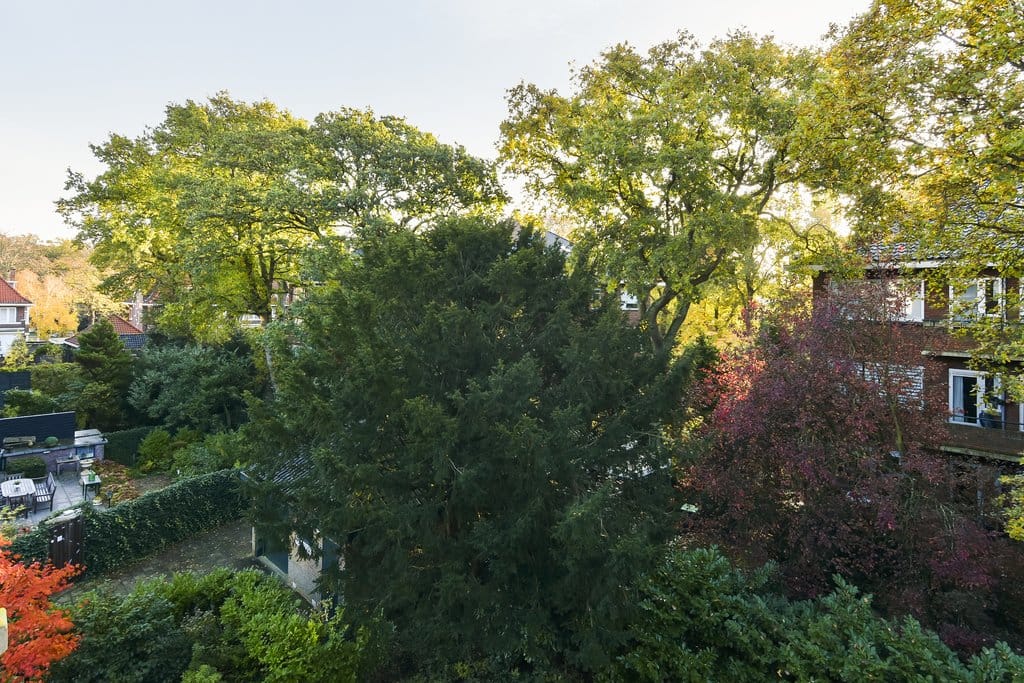 Foto 24 van Schoutenstraat 57