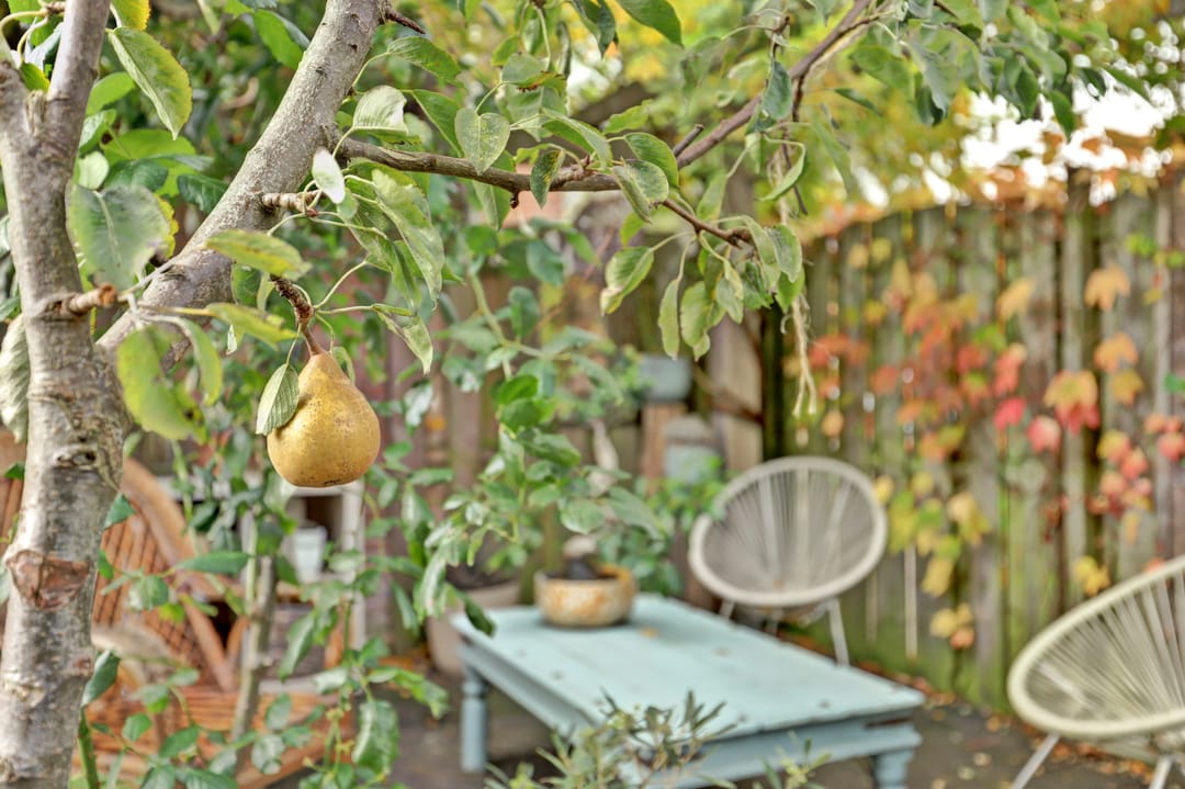 Foto 26 van Lakenkopersgilde 2