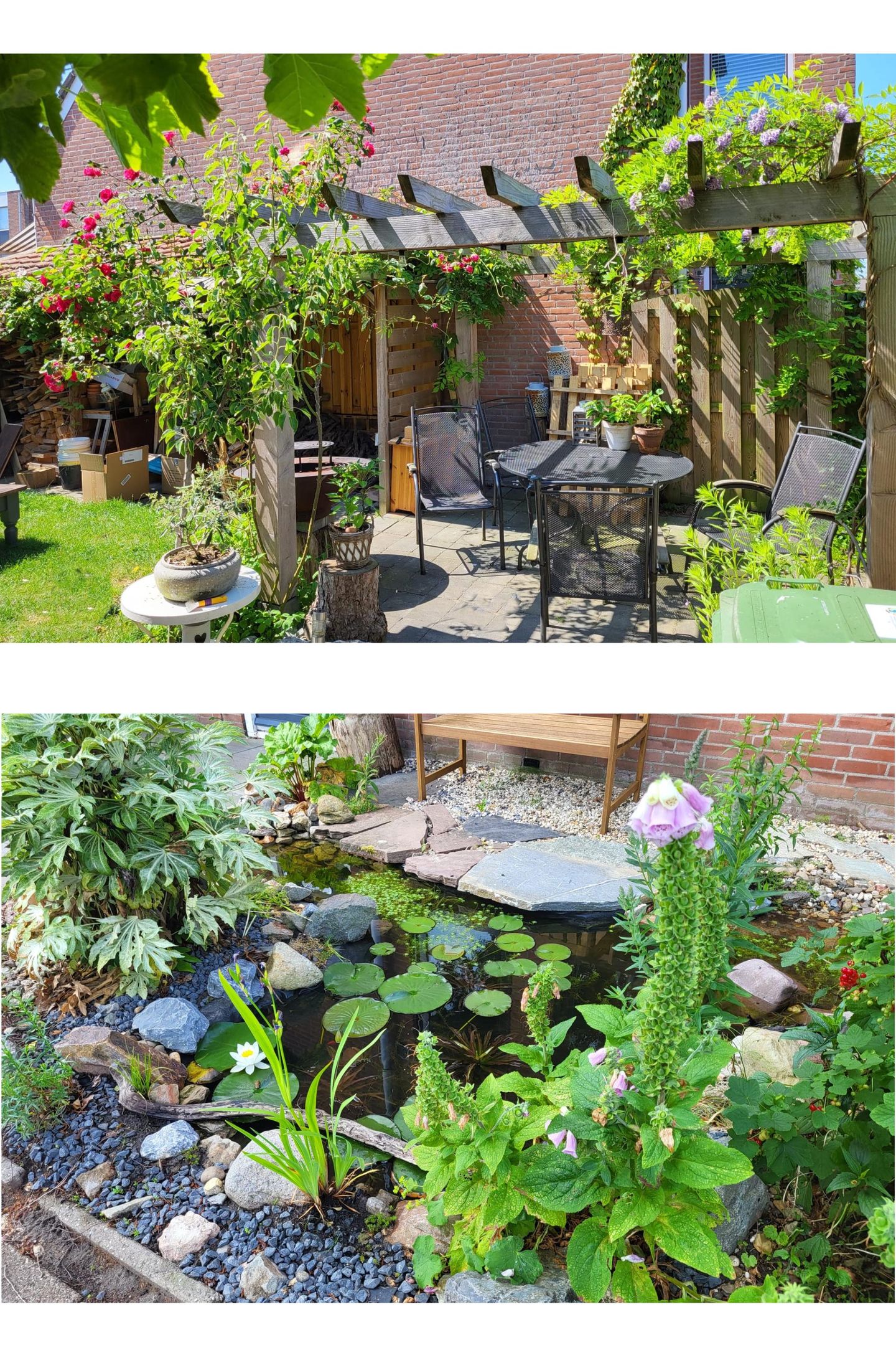 Foto 29 van Lakenkopersgilde 2