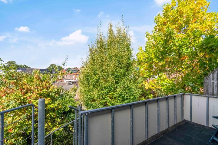 Photo 18 of Burgemeester Conraetzstraat 25-A