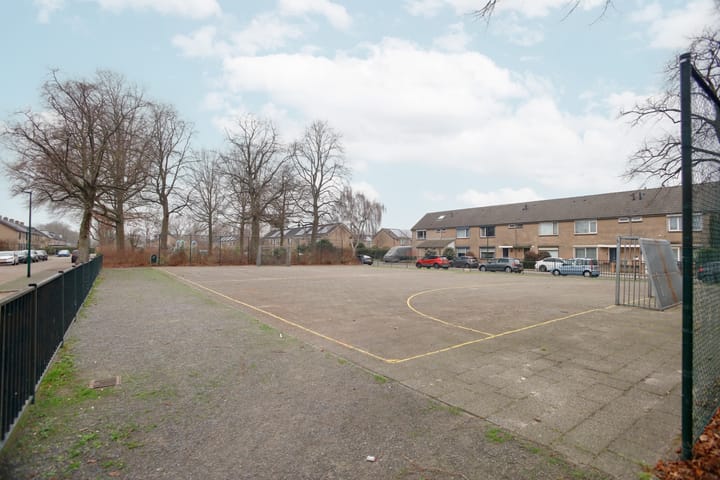 Foto 46 van Straussstraat 14