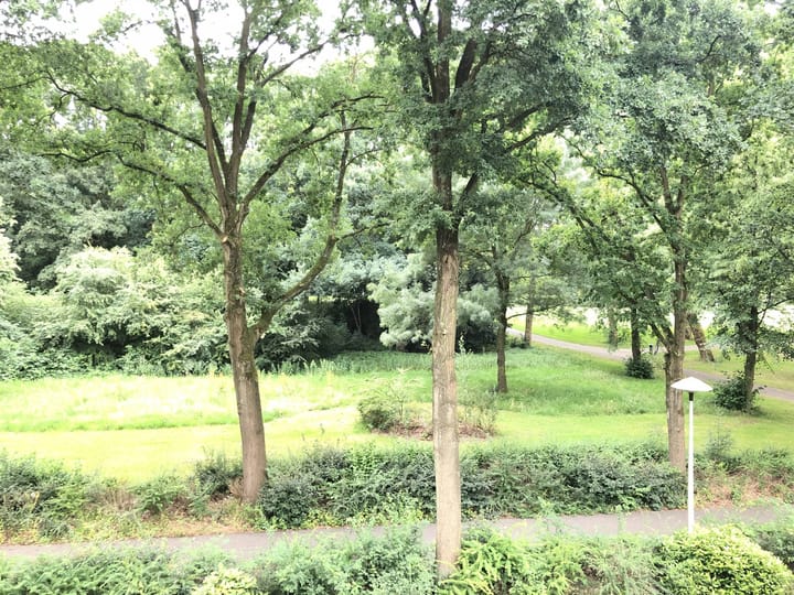 Foto 7 van Jo Wüthrichlaan 25