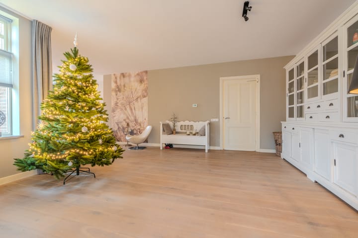 Photo 25 of Bovenburen 219