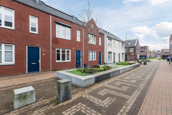 Foto 6 van Zilverschat 8