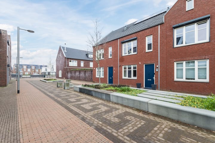 Foto 7 van Zilverschat 8