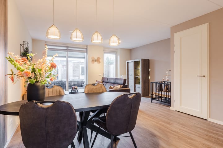 Foto 8 van Zilverschat 8