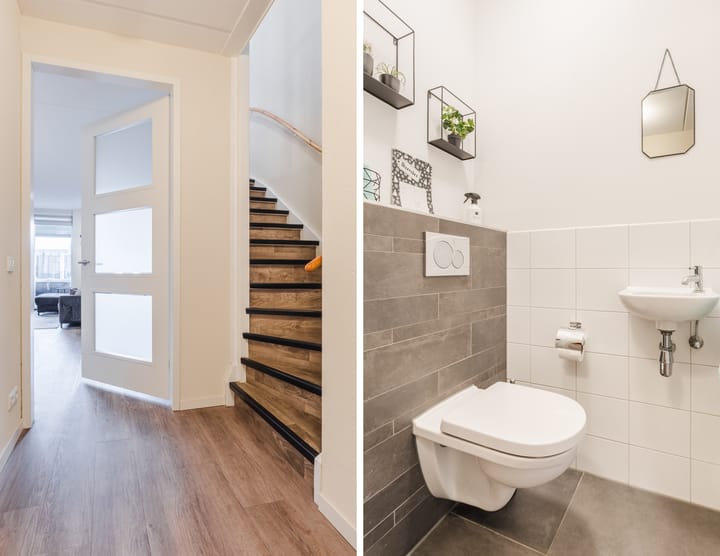 Foto 16 van Zilverschat 8