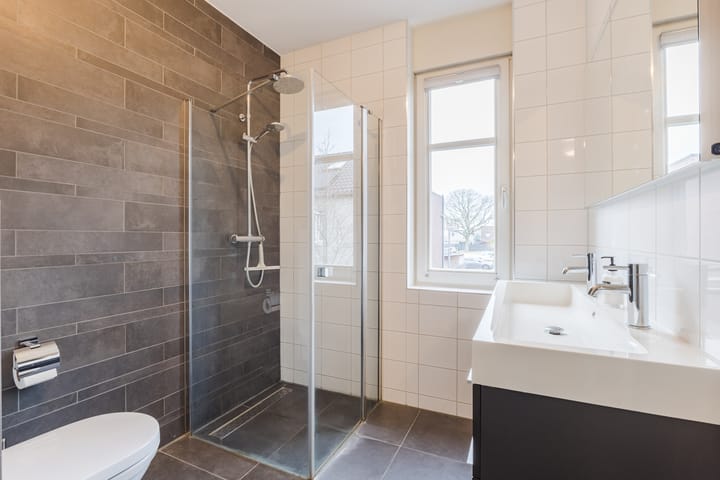 Foto 23 van Zilverschat 8