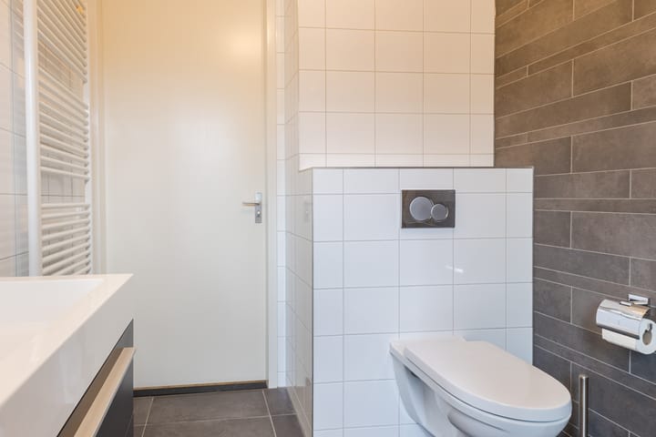 Foto 25 van Zilverschat 8