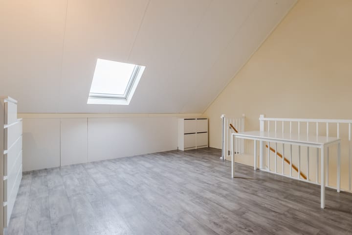 Foto 28 van Zilverschat 8