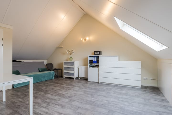 Foto 29 van Zilverschat 8