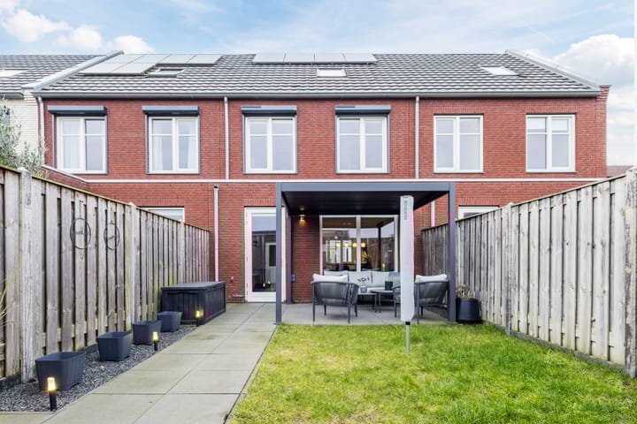 Foto 34 van Zilverschat 8