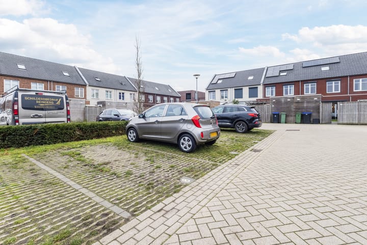 Foto 36 van Zilverschat 8