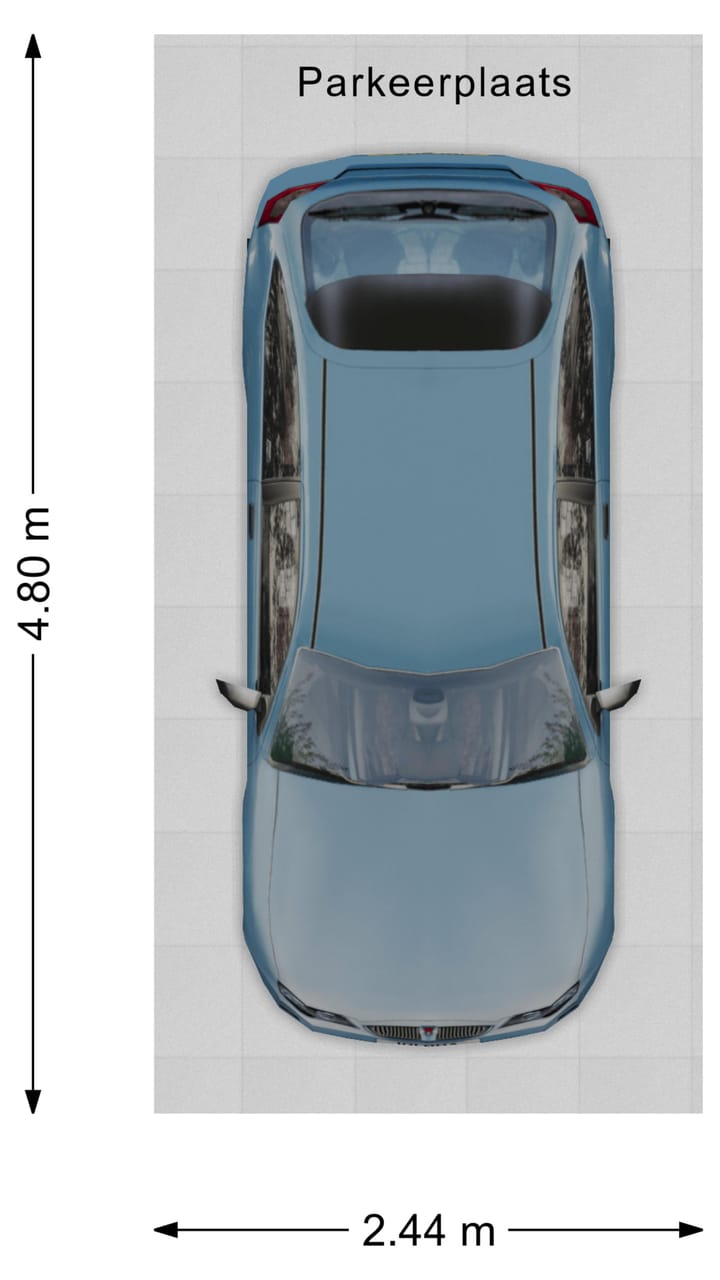 Foto 40 van Zilverschat 8