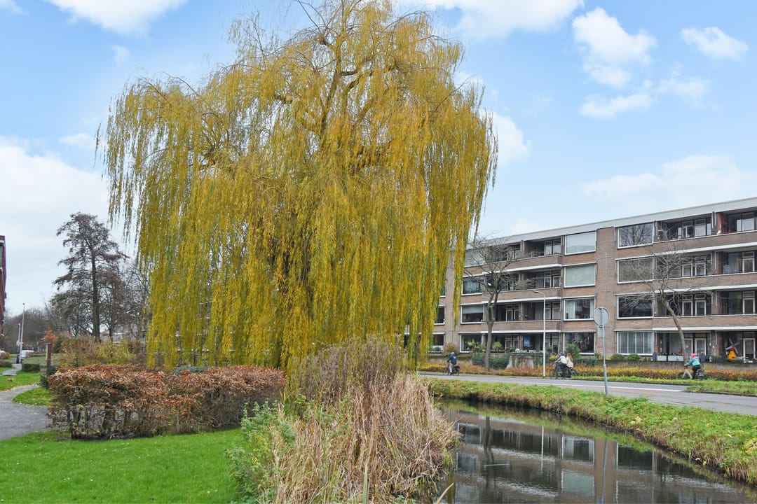 Foto 38 van Ronsseweg 217-F