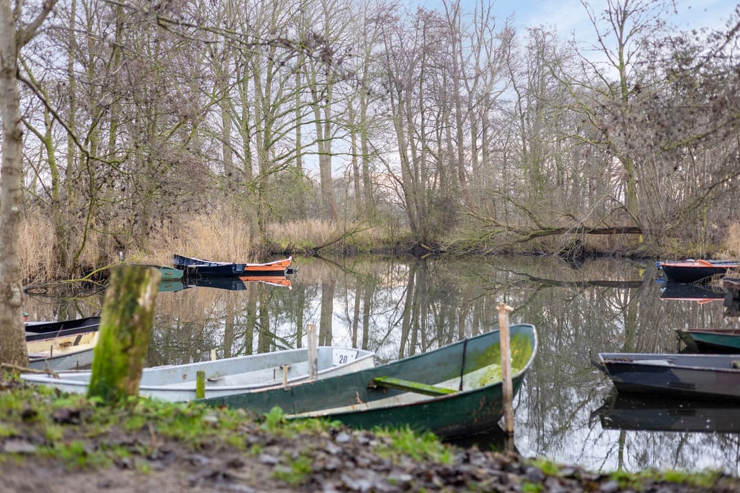 Foto 31 van De Hoeven 18