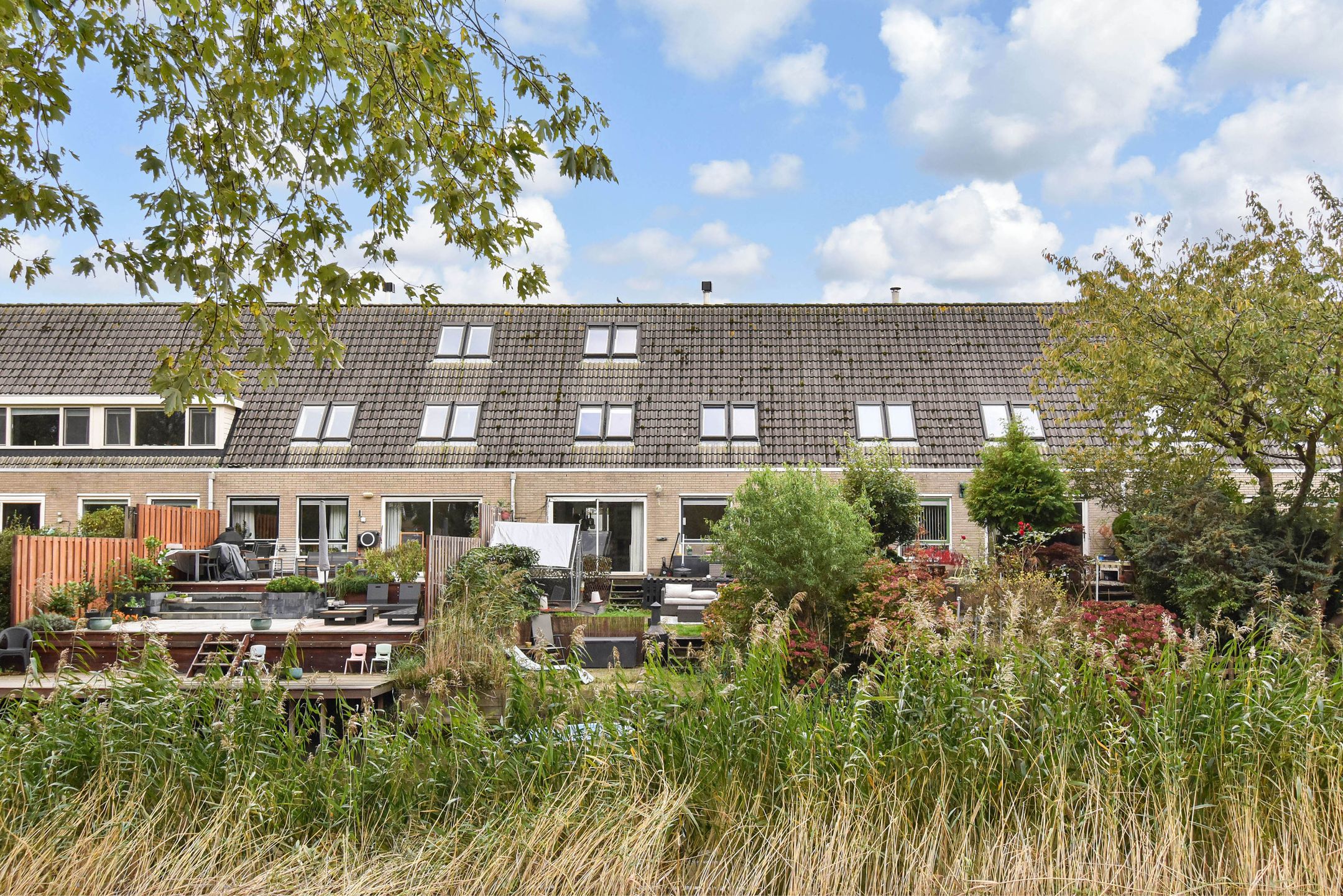 Foto 24 van Ponyweide 49