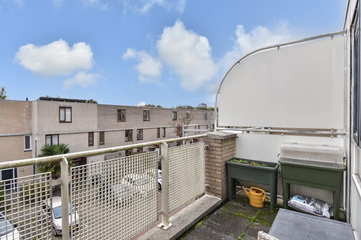 Foto 40 van Ponyweide 49