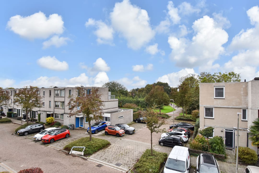 Foto 41 van Ponyweide 49